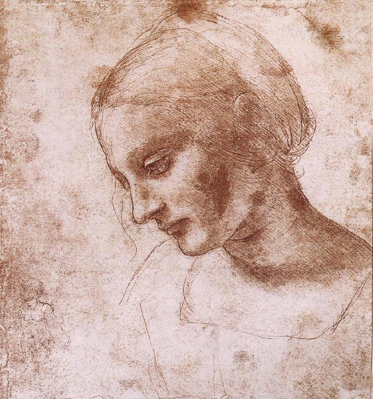 Study fur a women head, LEONARDO da Vinci